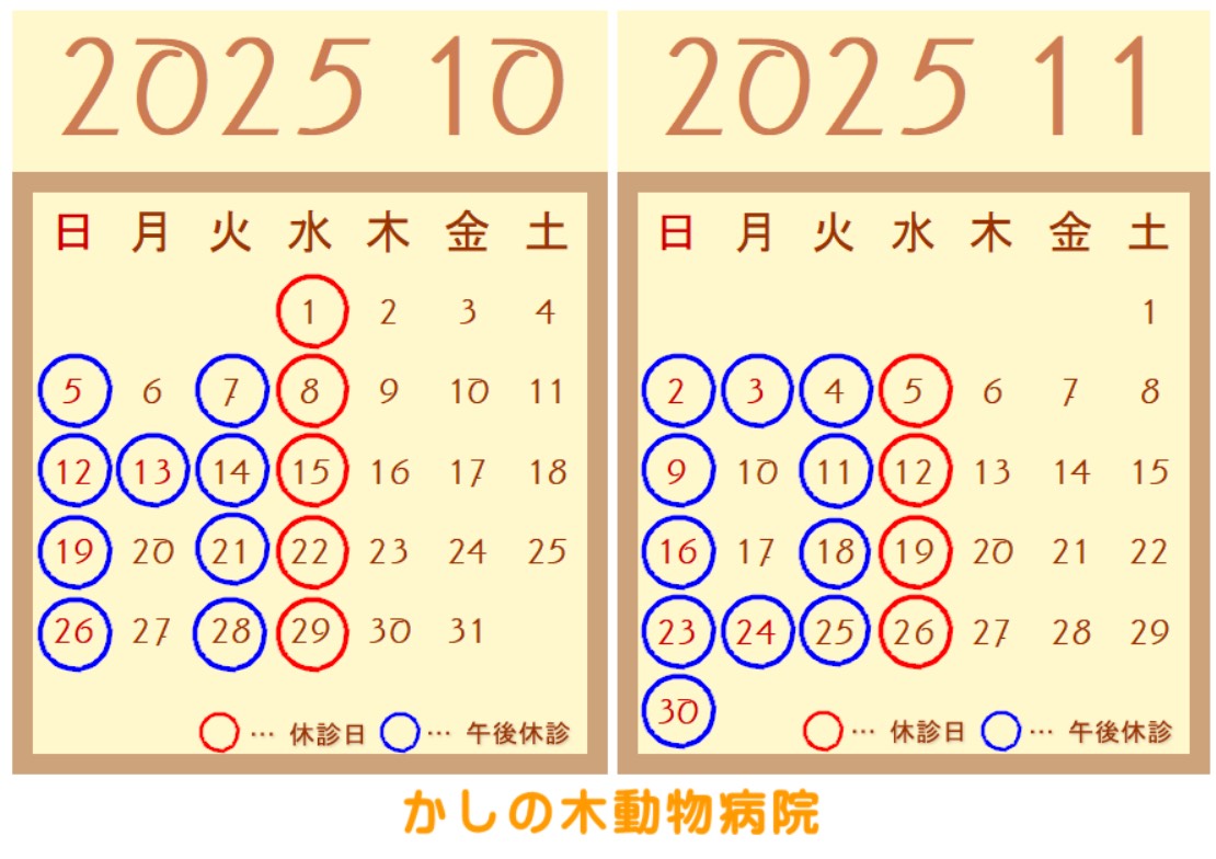 10月、11月休診日のご案内