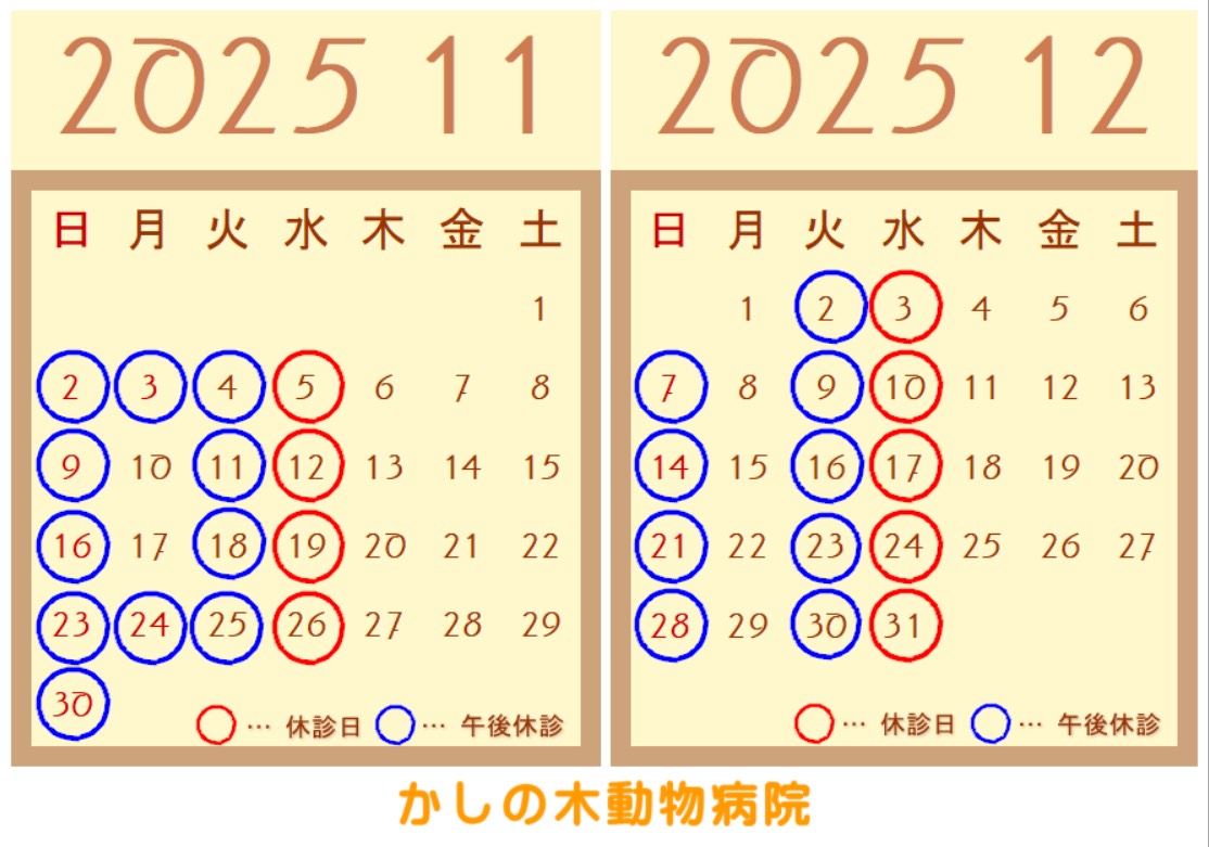 11月、12月休診日のご案内