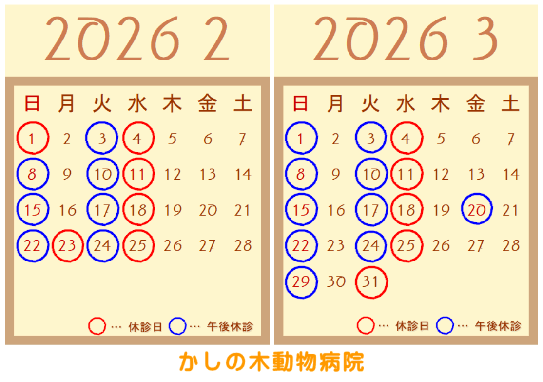 2月、3月休診日のご案内